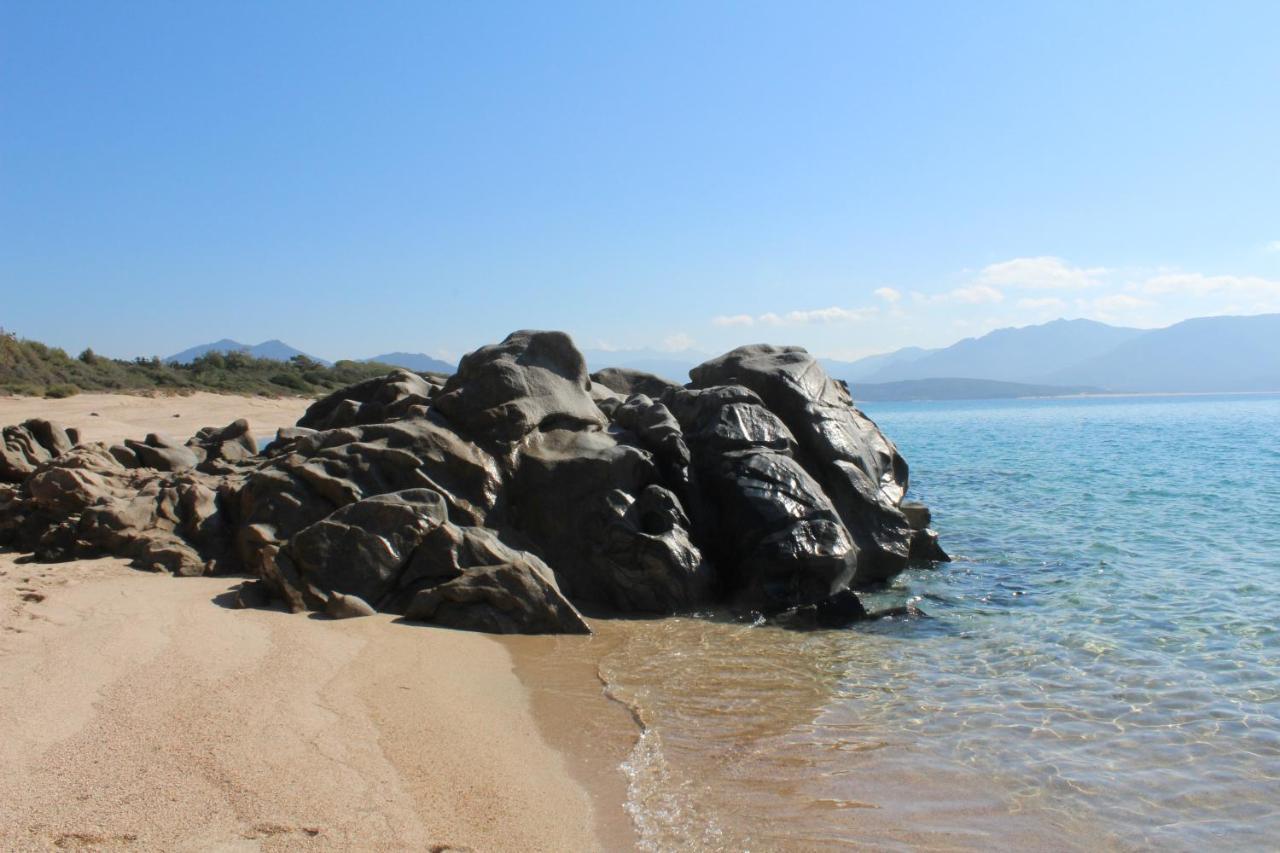 אולמטו Villas Valinco San Martinu Corse Du Sud - Vue Et Proche Mer - Piscines-7 Chambres מראה חיצוני תמונה